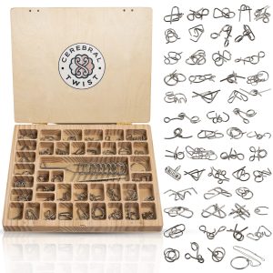 Luxurious Metal Brain Teaser Set – Challenge, Engage, and Impress