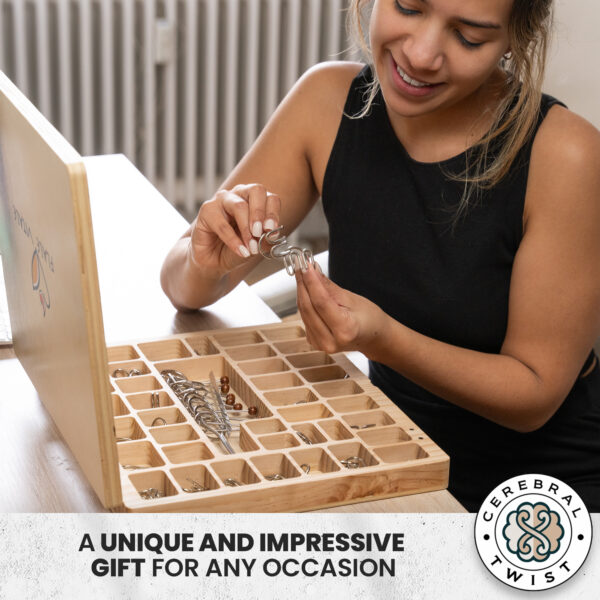 Luxurious Metal Brain Teaser Set – Challenge, Engage, and Impress