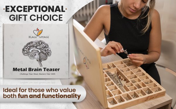 Luxurious Metal Brain Teaser Set – Challenge, Engage, and Impress
