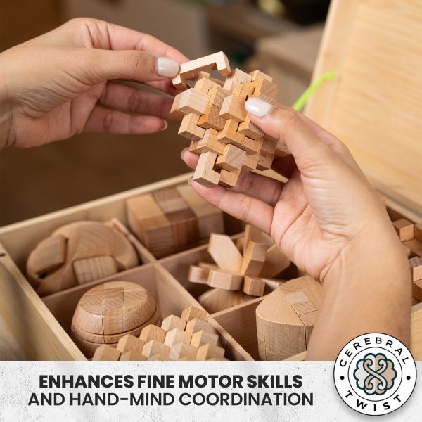 Handcrafted Wooden Brain Teaser Set G1 – Elegance Meets Challenge