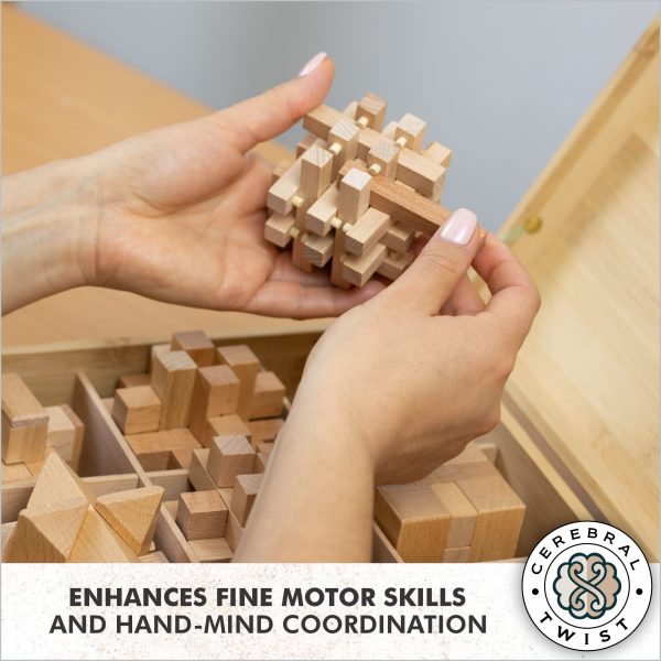 Handcrafted Wooden Brain Teaser Set G2 – Elegance Meets Challenge