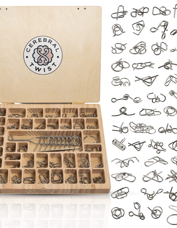 Luxurious Metal Brain Teaser Set – Challenge, Engage, and Impress